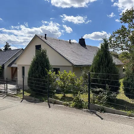Kiwe5 Plauen
